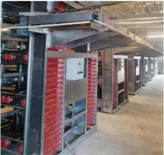 CASCADING  (H-TYPE)LAYER  BREEDING  EQUIPMENT