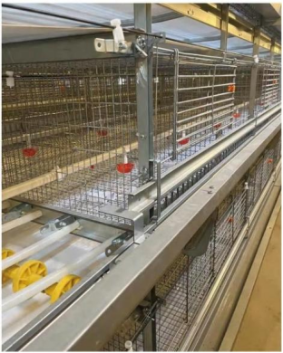 STACKED  (H-TYPE)CHICK  REARING  EQUIPMENT